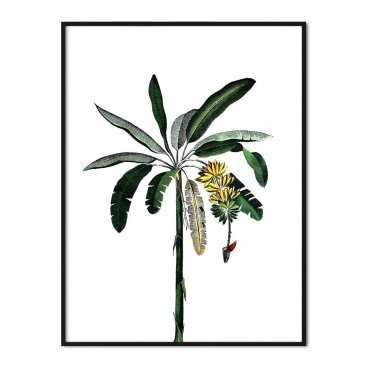plakat exotic art