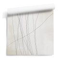 tapeta na ścianę lines of minimalism