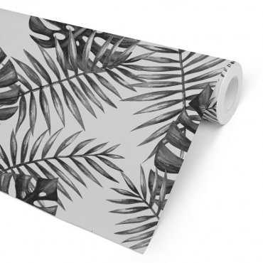 BLACK MONSTERA - Tapeta ścienna