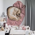 tapeta na ścianę lovely sleeping cat