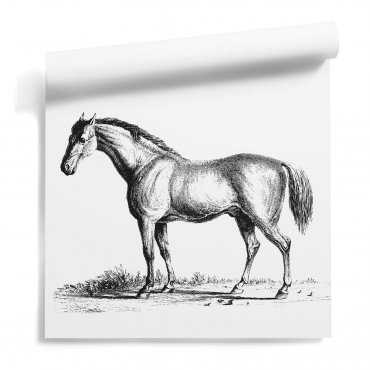 tapeta z koniem sketchy horse