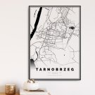 plakat mapa tarnobrzeg