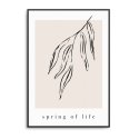 plakat spring of life