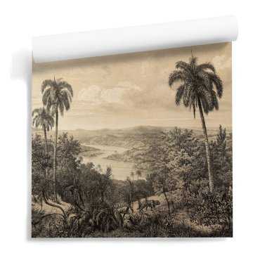 tapeta krajobraz old view palm