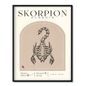 plakat ze znakiem zodiaku skorpion