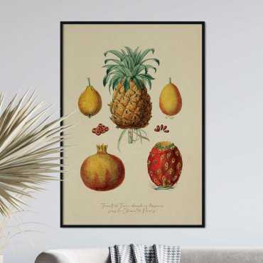 vintage fruits plakat owoce