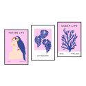 zestaw trzech plakatów exotic pink