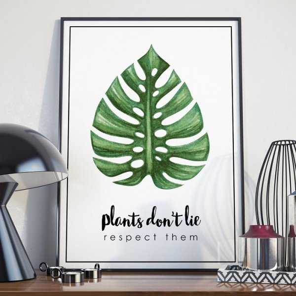 Plakat w ramie - Plants Don't Lie