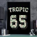 Plakat w ramie - Tropic 65