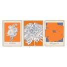 zestaw plakatów kwiatowych naturelle orange