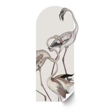 tapeta minimalist flamingos w kształcie łuku