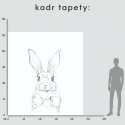 Rabbit tapeta