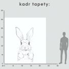 Rabbit tapeta