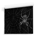 tapeta ciemna spider webscape