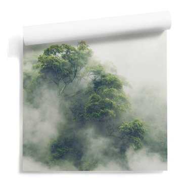 Misty Fog outlet