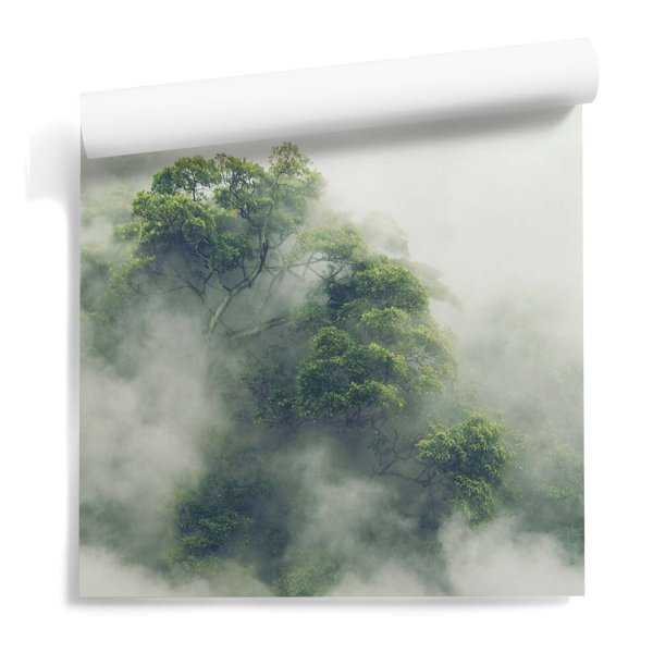 Misty Fog outlet Misty Fog outlet