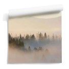 Forest Sunrise outlet Forest Sunrise outlet