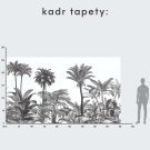 tapeta palmy tapeta palmy