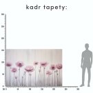 tapeta kwiaty tapeta kwiaty
