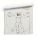 Tapeta ścienna z reprodukcją obrazu "Człowiek witruwiański" Leonardo da Vinci
