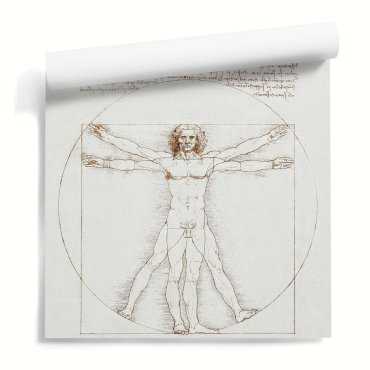 "Człowiek witruwiański" Leonardo da Vinci - tapeta ścienna