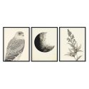 plakaty w komplecie eagle eye