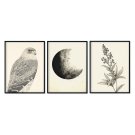 plakaty w komplecie eagle eye plakaty w komplecie eagle eye