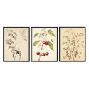 plakaty herbarium pages
