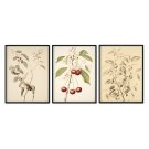 plakaty herbarium pages