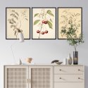 herbarium pages plakaty w zestawie