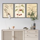 herbarium pages plakaty w zestawie