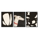 plakaty w zestawie white dog plakaty w zestawie white dog