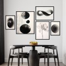 black beauty plakaty galeria