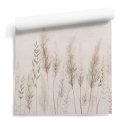 Tapeta ścienna z motywem łąki - Pampas Grass