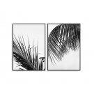 Zestaw dwóch plakatów - TROPICAL SHADOW Zestaw dwóch plakatów - TROPICAL SHADOW