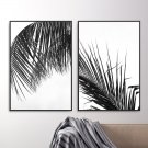 Zestaw dwóch plakatów - TROPICAL SHADOW Zestaw dwóch plakatów - TROPICAL SHADOW