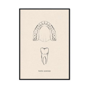 dentysta budowa łuku