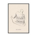 dentysta profil szczęki plakat