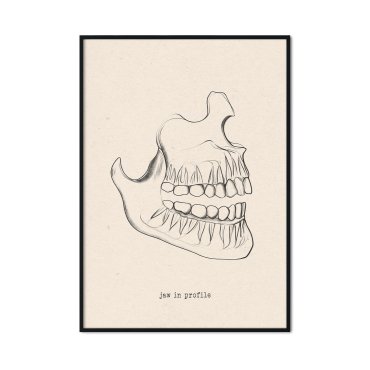 dentysta profil szczęki plakat