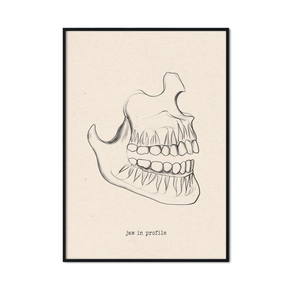 dentysta profil szczęki plakat