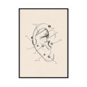 piercing plakat z uchem