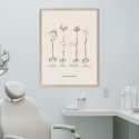 plakat do gabinetu neurologa typy neuronów
