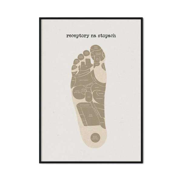 plakat akupresura stopa plakat akupresura stopa