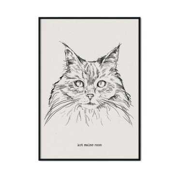 plakat z kotem maine coon