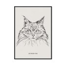 plakat z kotem maine coon
