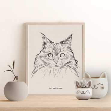 plakat z kotem maine coon