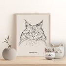 kot maine coon