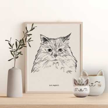 plakat z kotem ragdoll