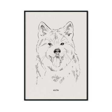 plakat z psem rasy akita
