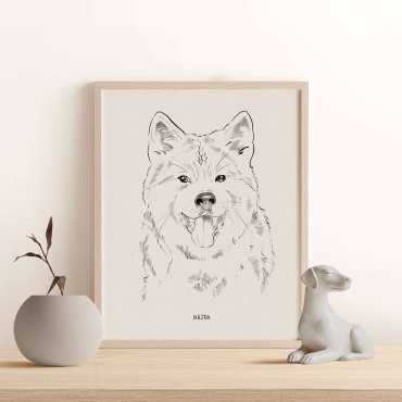 plakat z psem rasy akita